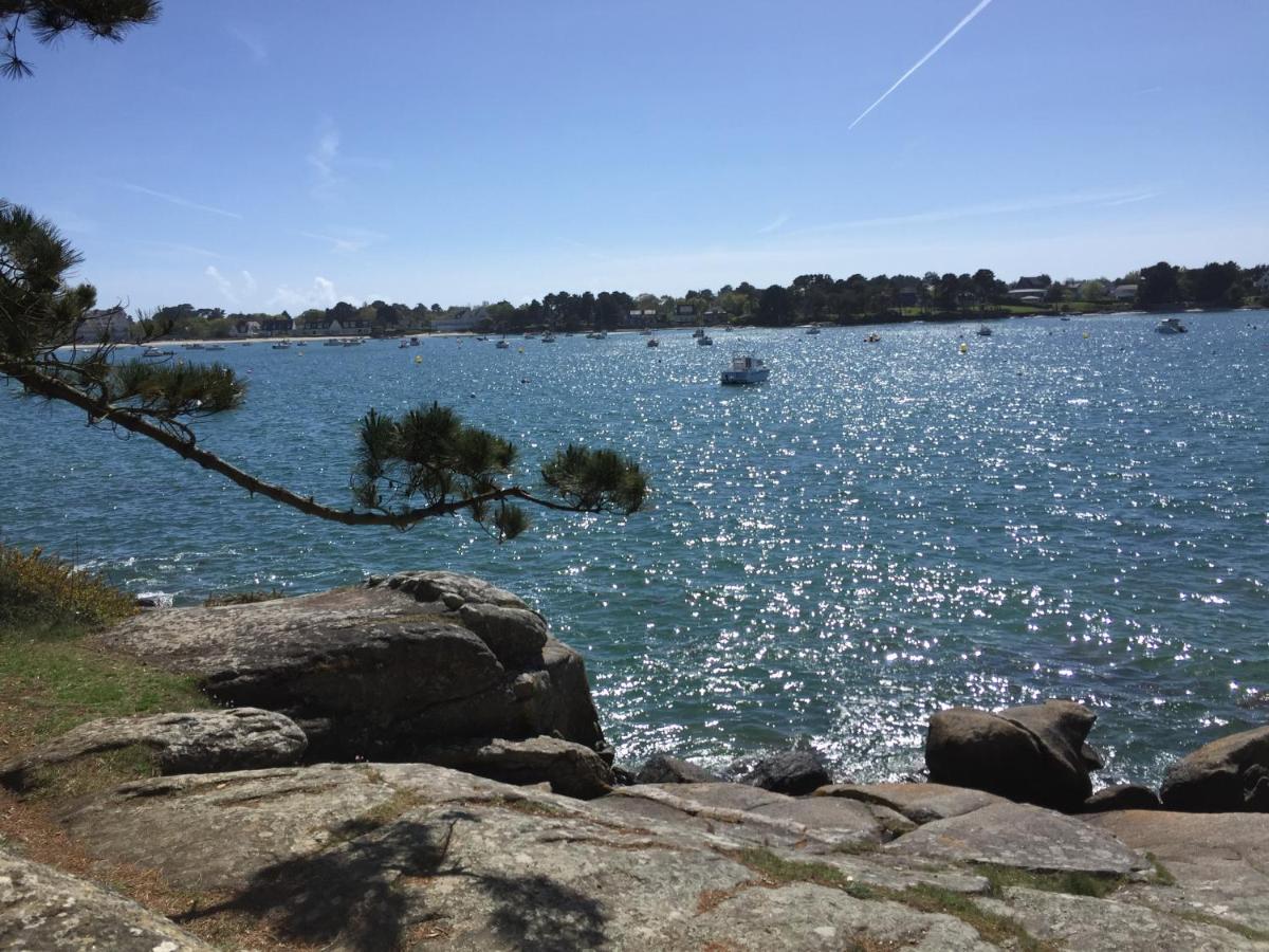 L'Elephant Blanc De Concarnoloc Concarneau Kültér fotó