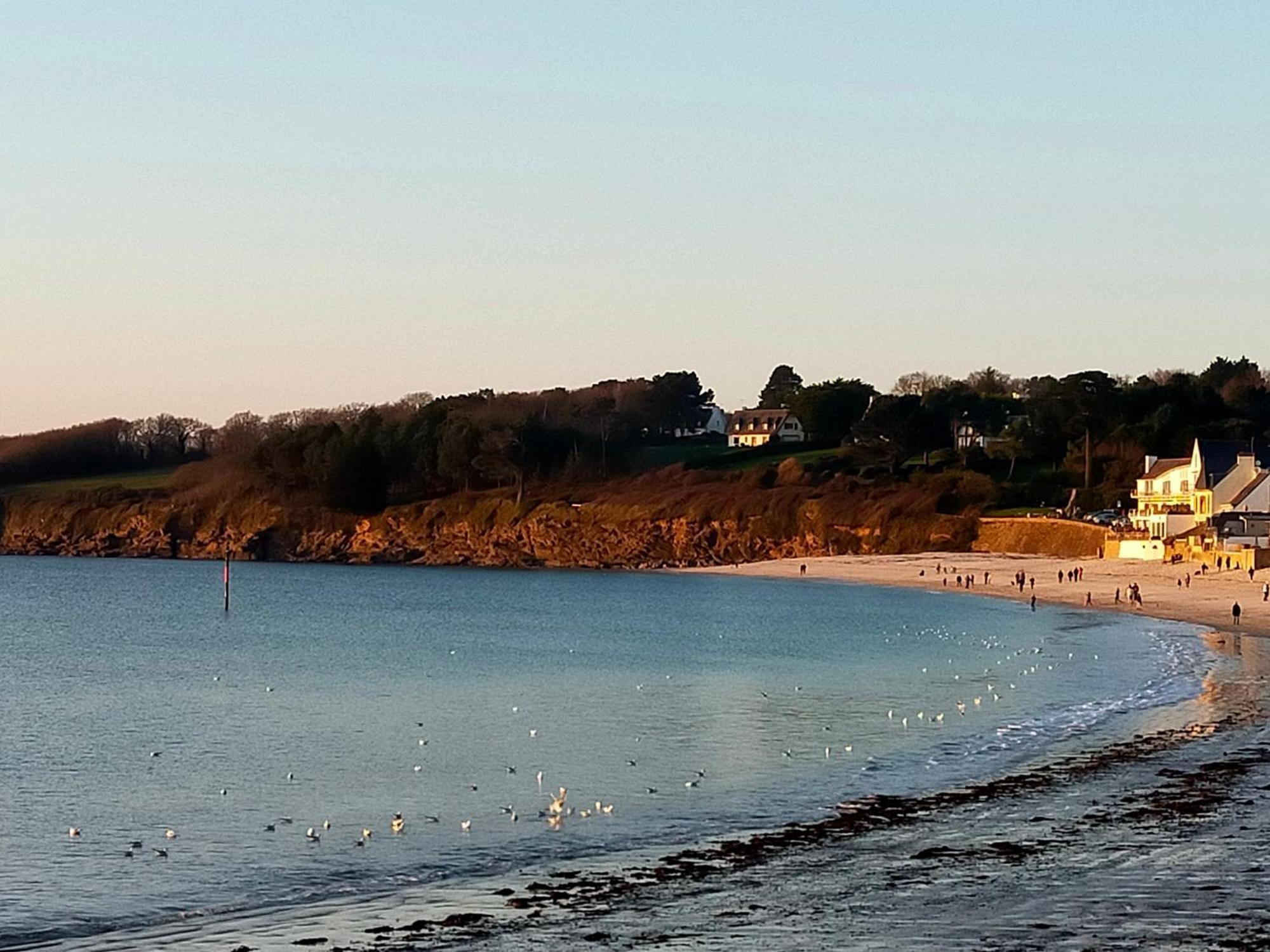 L'Elephant Blanc De Concarnoloc Concarneau Szoba fotó